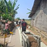 IMG-20260801-WA0016